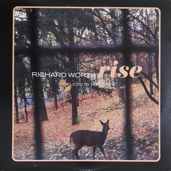 Richard Worth – Rise (Format: Vinyl, 12", 33 ⅓ RPM) (Label: Giant Step Records) (SIDE A Sentinel Dome Mix) (SIDE B Pike's Peak Mix)